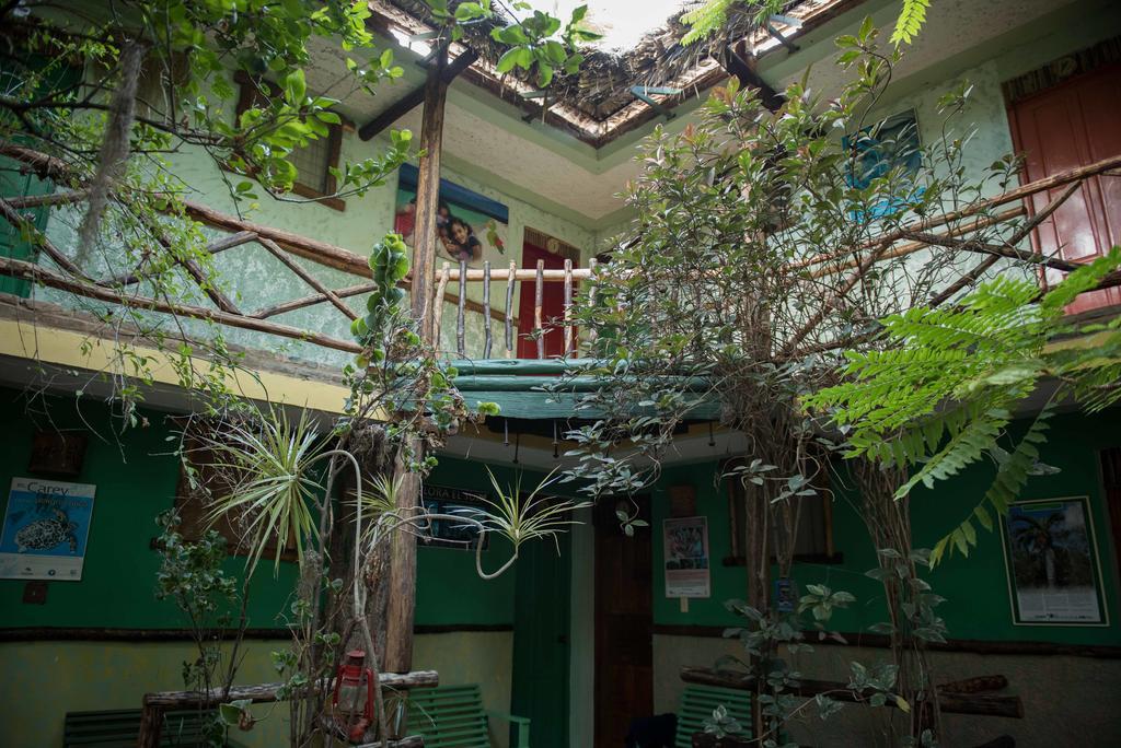 佩德纳莱斯 多纳查瓦旅舍酒店 外观 照片